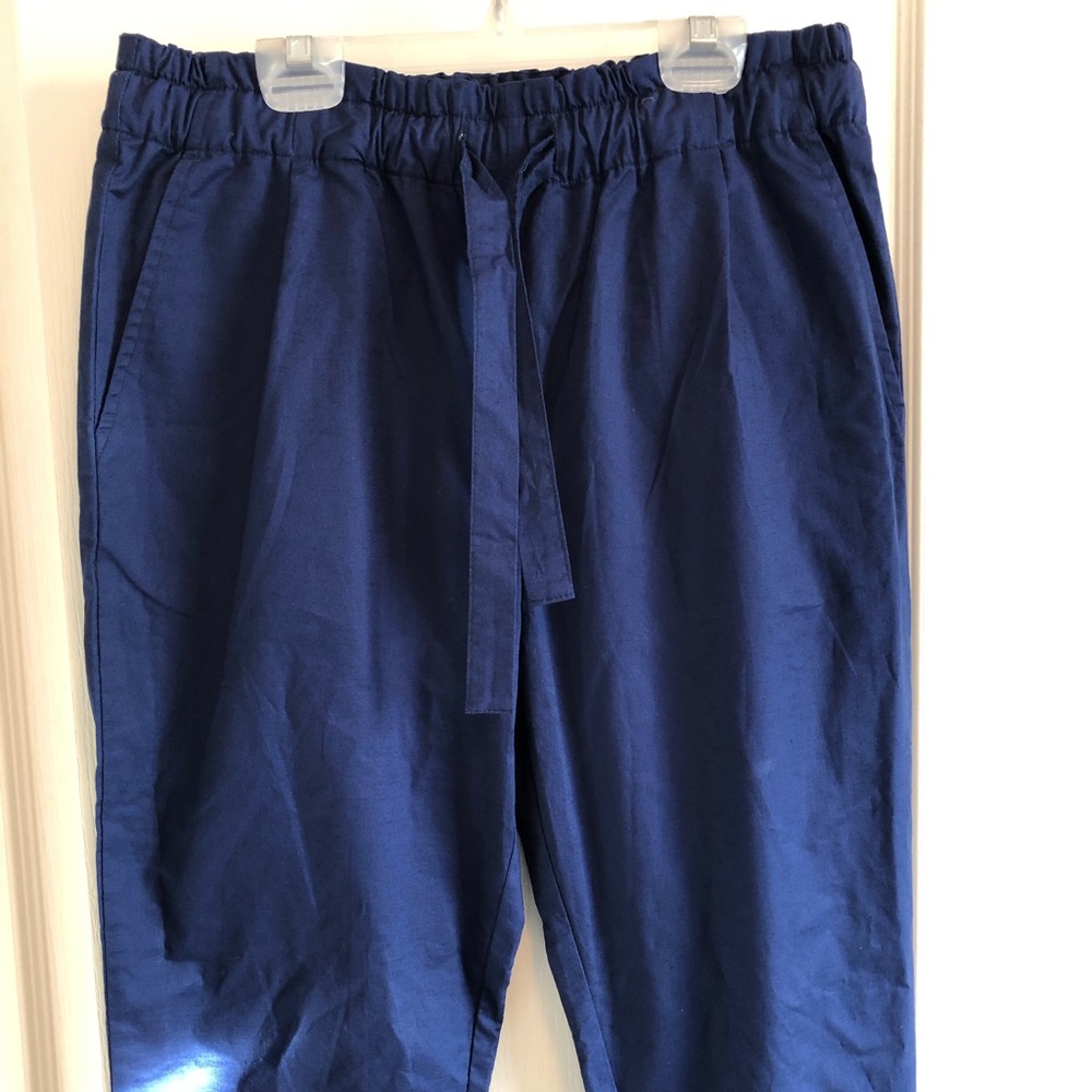 NWOT Tentree Jericho Dark Blue Pants
